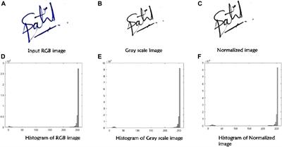 Behavioral Biometric Data Analysis for Gender Classification Using Feature Fusion and Machine Learning